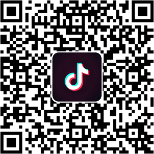 抖音小程序